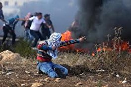 دعا مدير مؤسسة بل(Pol) الأدبية جميع دور النشر في العالم دعم الشعب الفلسطيني الذي يواجه عدوانا صهيونيا شرسا.