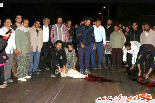 تصاویر استقبال از جانباز مدافع حرم «مسعود محمدی» تصاویر استقبال از جانباز مدافع حرم «مسعود محمدی»