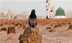 بقیع و سوریه فرقی نمیکند، شیعه بقیع و سوریه فرقی نمیکند، شیعه