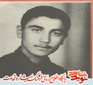 دوست دارم همچون وهب بمیرم