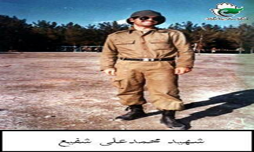 گذری بر زندگینامه گذری بر زندگینامه