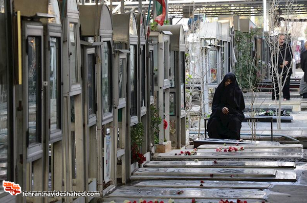 آفتاب از اینجا می‌تابد درست از پشت نام شما