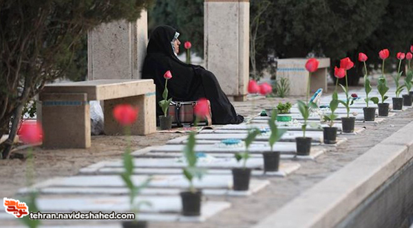 آفتاب از اینجا می‌تابد درست از پشت نام شما
