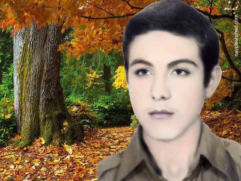 آلبوم عکس/ شهید عبدالمحمد پاطلا آلبوم عکس/ شهید عبدالمحمد پاطلا
