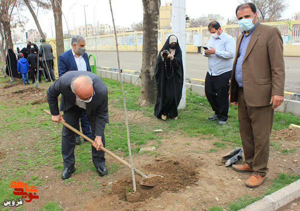 مدیرکل بنیاد و جمعی از خادمان شهدا ۴۰ اصله نهال غرس کردند