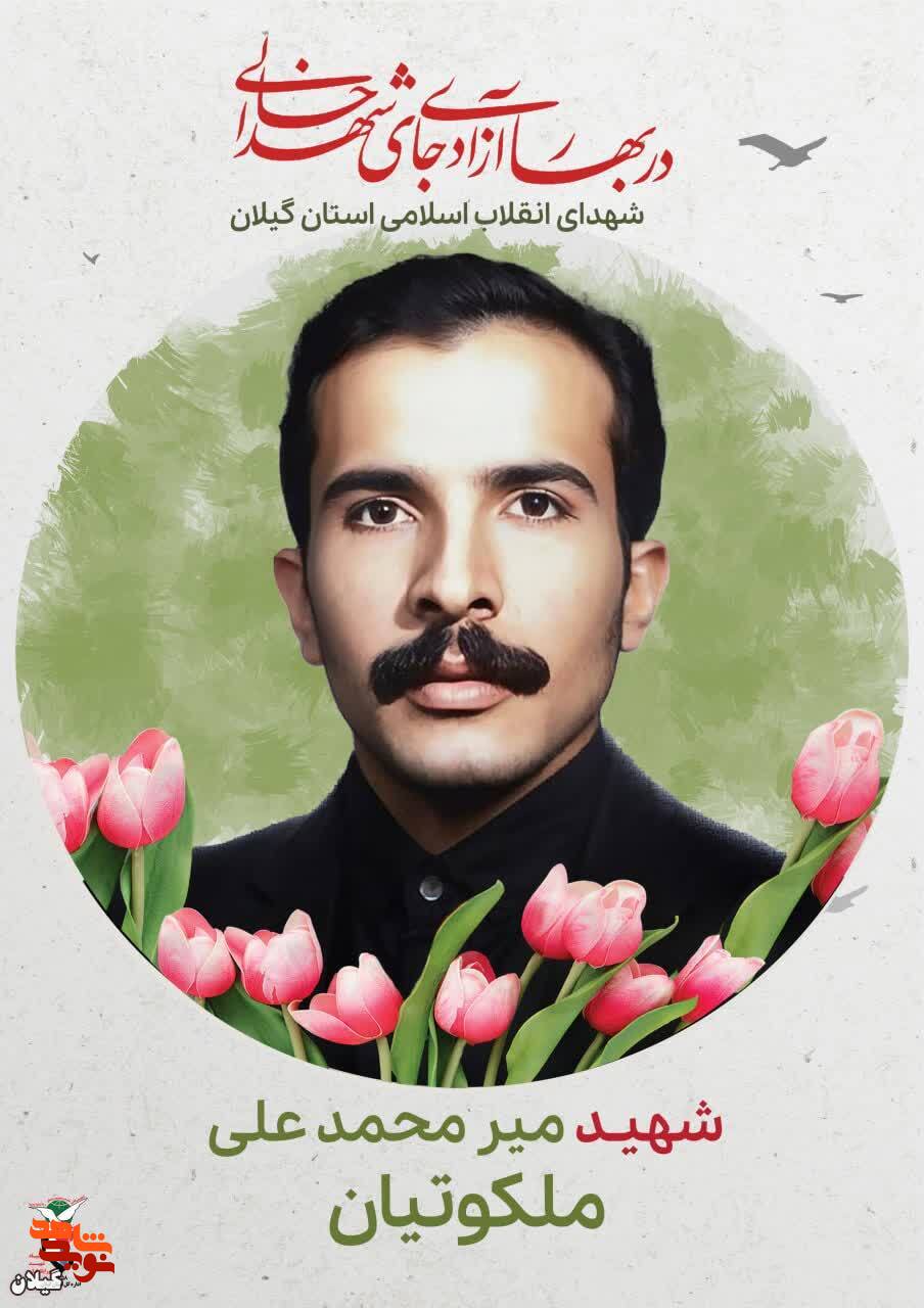 شهید میر محمدعلی ملکوتیان، مبارزی خستگی‌ناپذیر در راه انقلاب