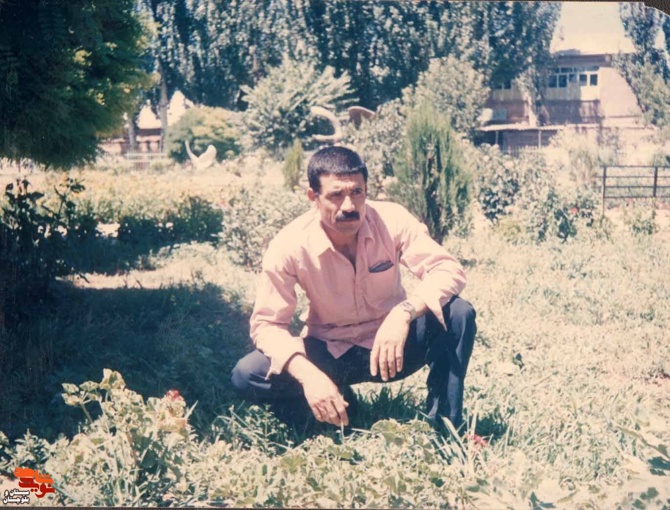 آلبوم تصاویر شهید«محمد باستانی» منتشر شد