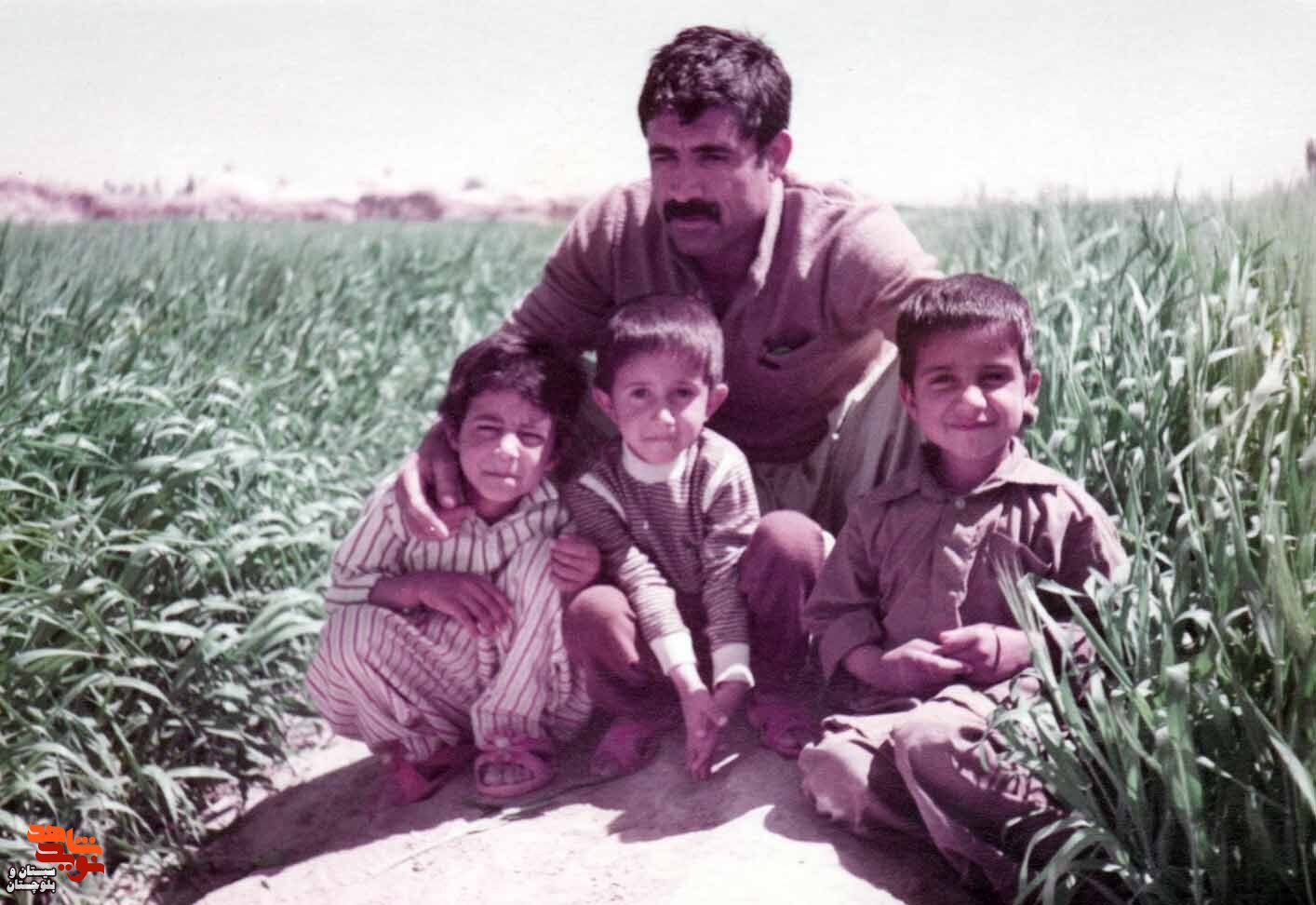 آلبوم تصاویر شهید«محمد باستانی» منتشر شد
