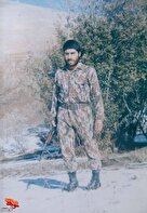شهید «پرویز محمدی» در قاب تصویر