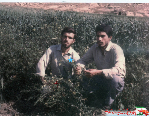 دانشجوی شهید حمیدرضا صحرایی