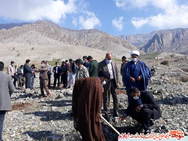 کاشت نهال به نام و ياد زنان شهیده و جانباز شهرستان ملکشاهی
