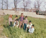 عکس